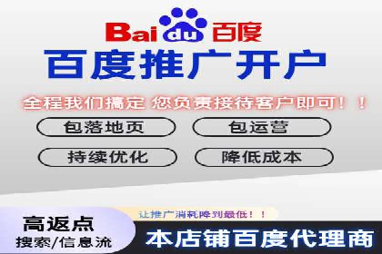 某企业利用百度SEM提升产品销量的实战经验